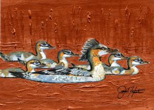 Mergansers