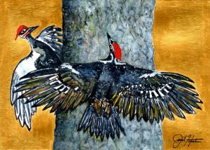 Pileated Woodpeckers